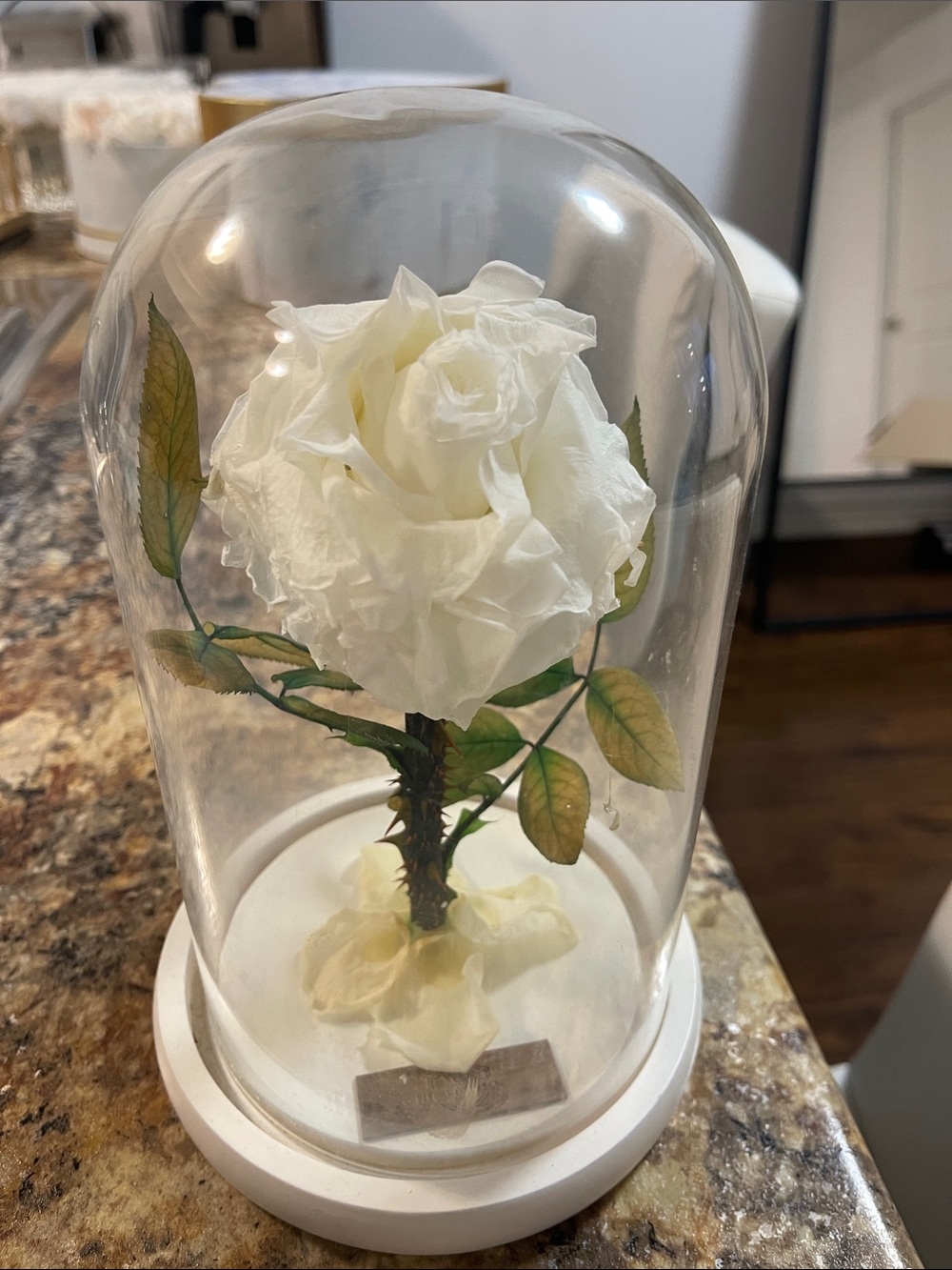 Preserved White Rose Dome Decorative Accent